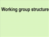 The structure of the working groups of the Nursing Research Network, formed in 2021, was introduced